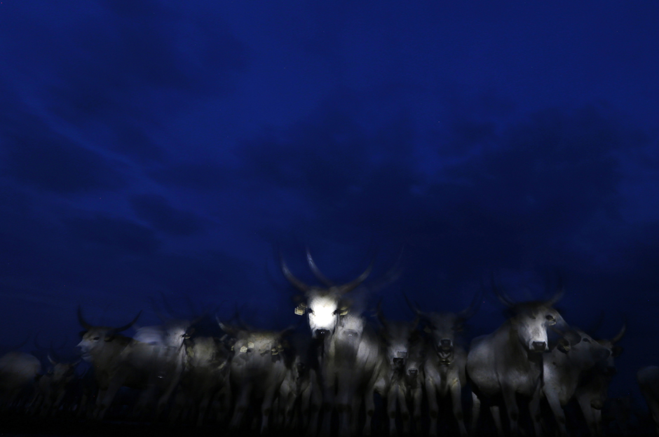 Reuters/Laszlo Balogh