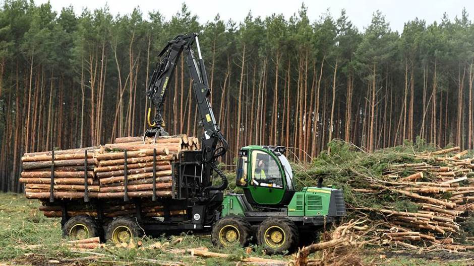 REUTERS ANNEGRET HILSE (2)