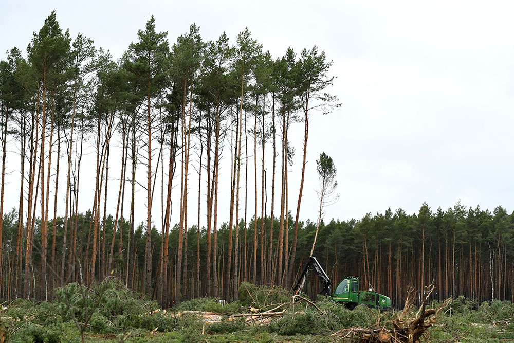 REUTERS/Annegret Hilse