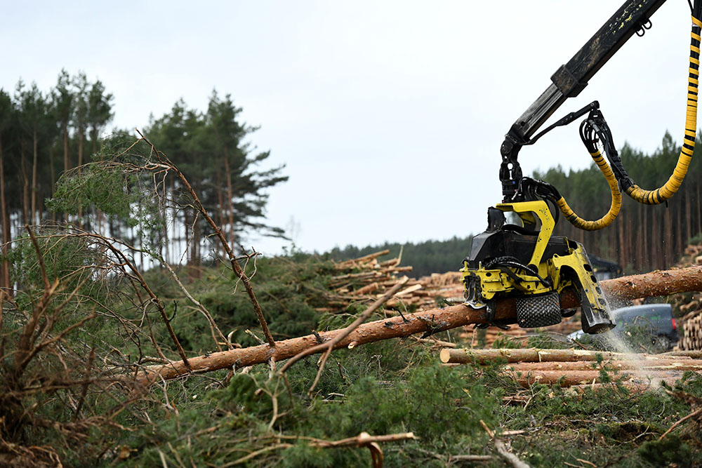 REUTERS/Annegret Hilse