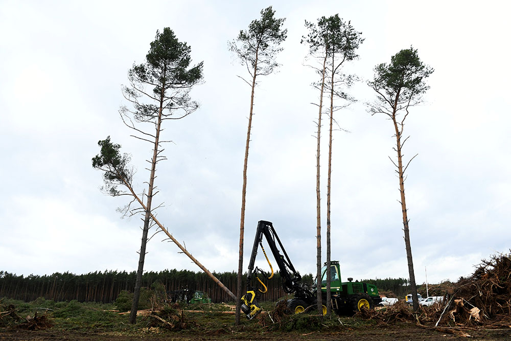 REUTERS/Annegret Hilse