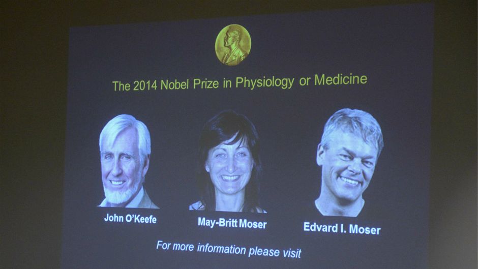 Reuters_Bertil Ericson