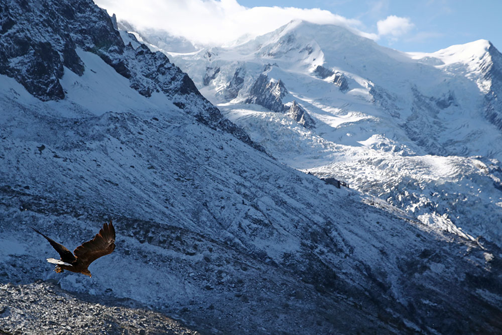 REUTERS/Denis Balibouse