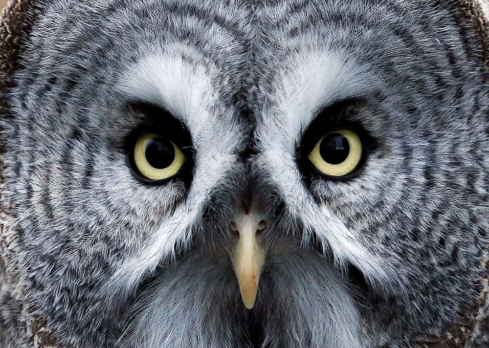 REUTERS/Ilya Naymushin