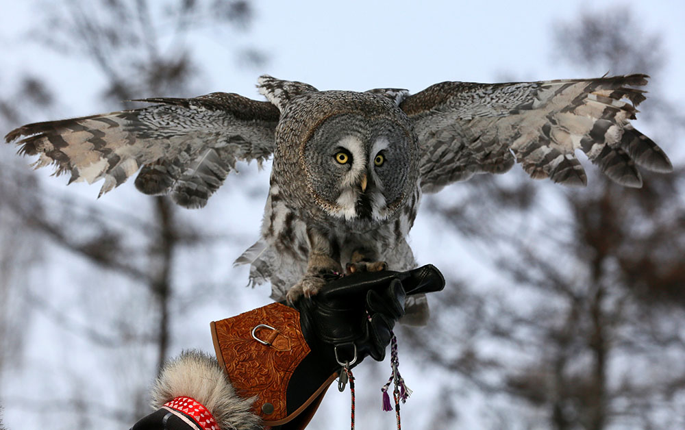 REUTERS/Ilya Naymushin