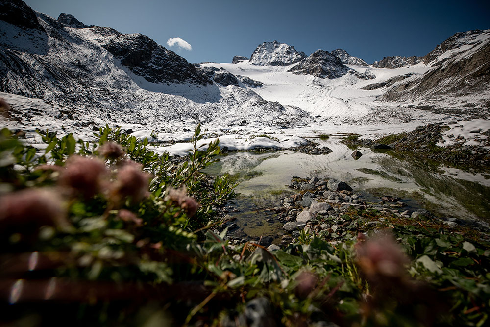 Reuters/Lisi Niesner