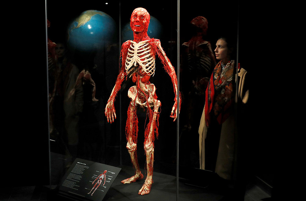 Reuters Peter Nicholls (1)