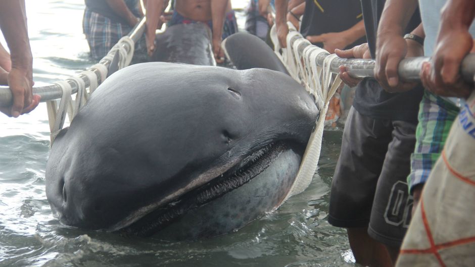 REUTERS Rhaydz Barcia