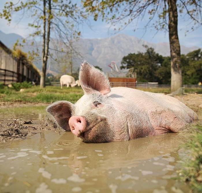 REUTERS/Sumaya Hisham