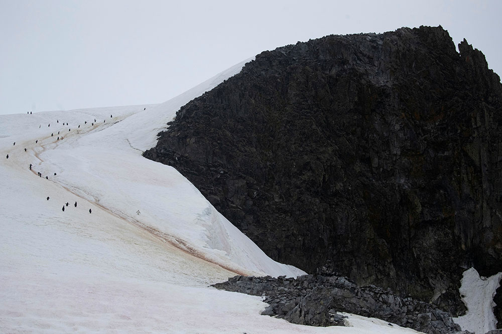 REUTERS/Ueslei Marcelinoc
