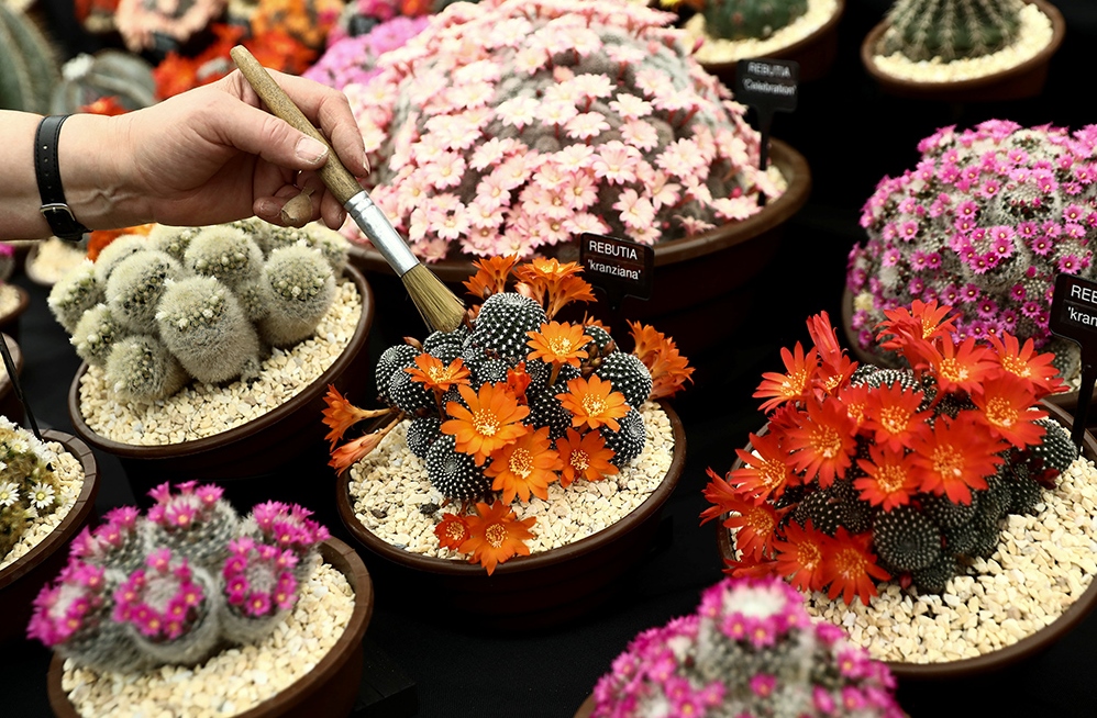 REUTERSSimon Dawson (5)