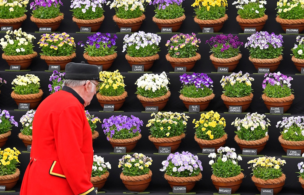 REUTERSToby Melville (1)