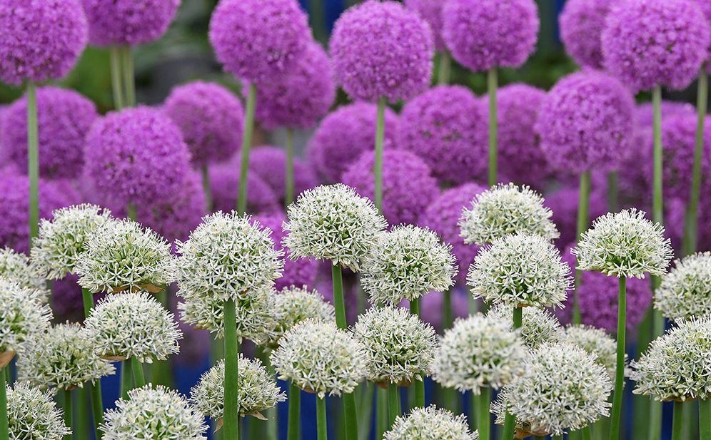 REUTERSToby Melville