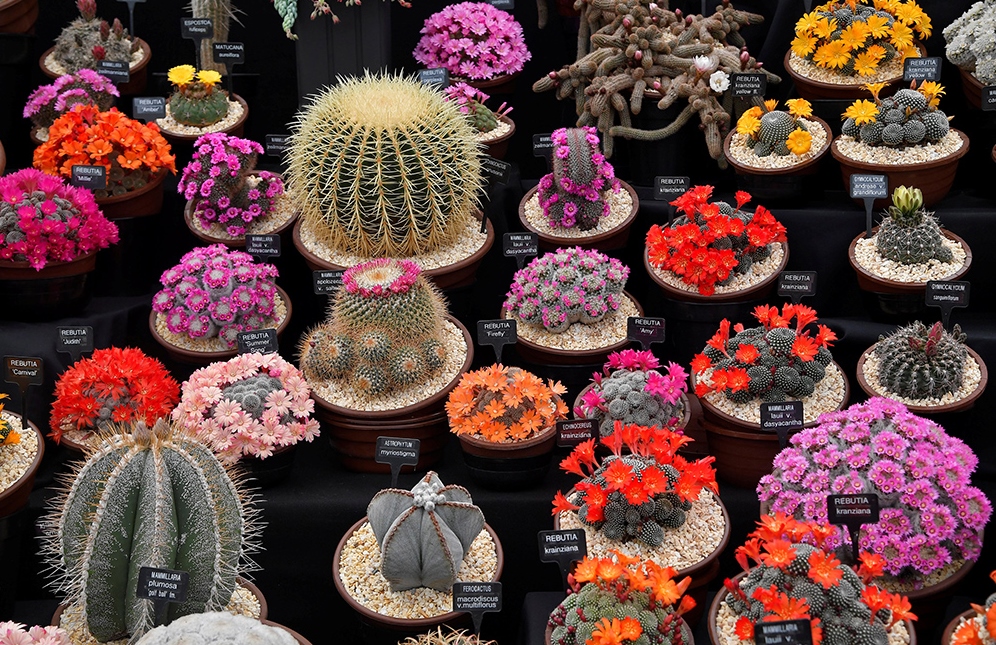 REUTERS/Toby Melville