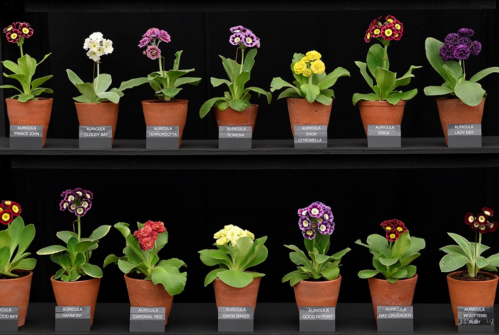 REUTERSToby Melville (5)