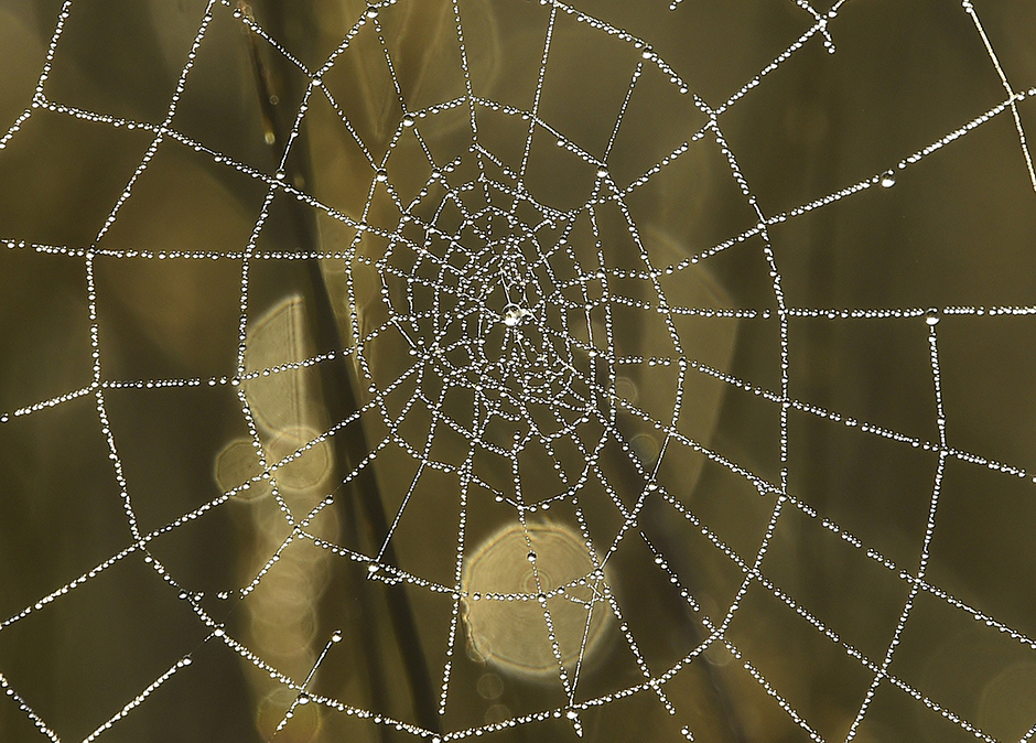 REUTERS/Toby Melville