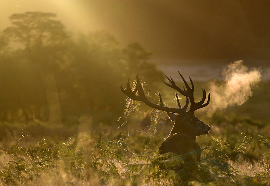 REUTERS/Dylan Martinez