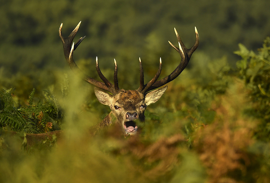 REUTERS/Toby Melville