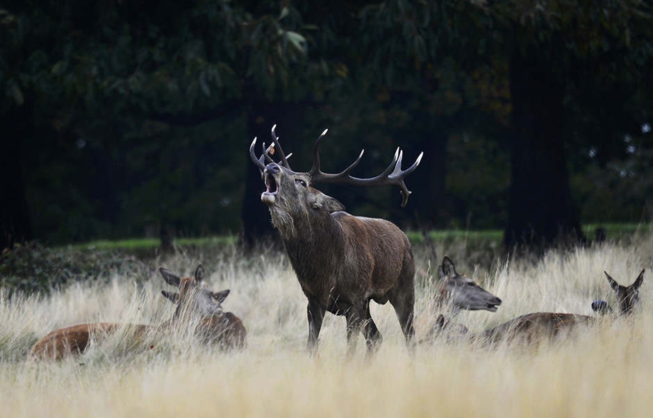 REUTERS/Dylan Martinez