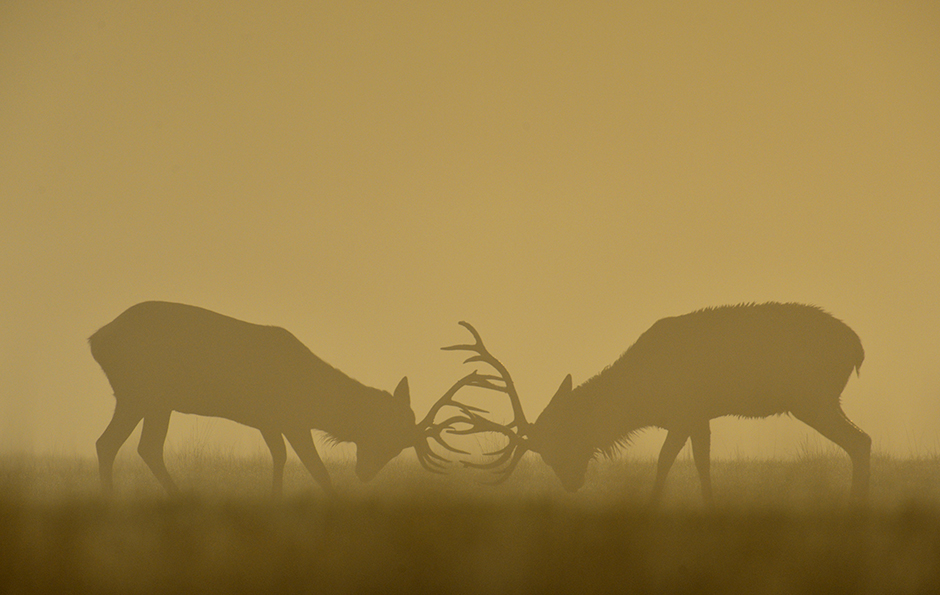 REUTERS/Toby Melville