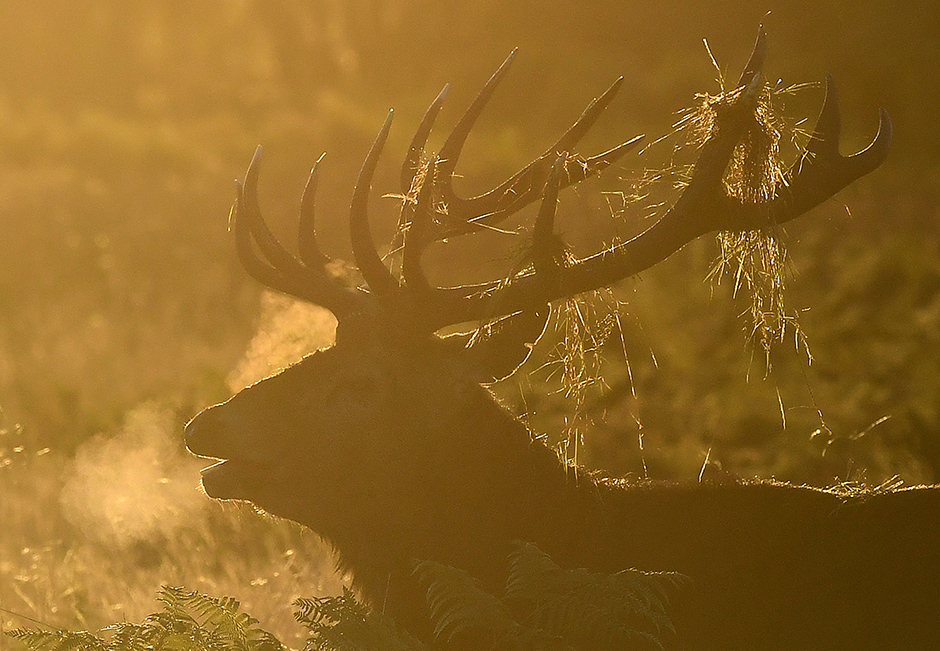REUTERS/Dylan Martinez