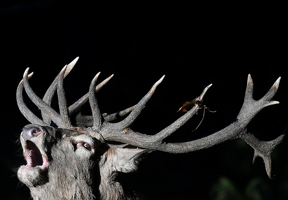 REUTERS/Dylan Martinez