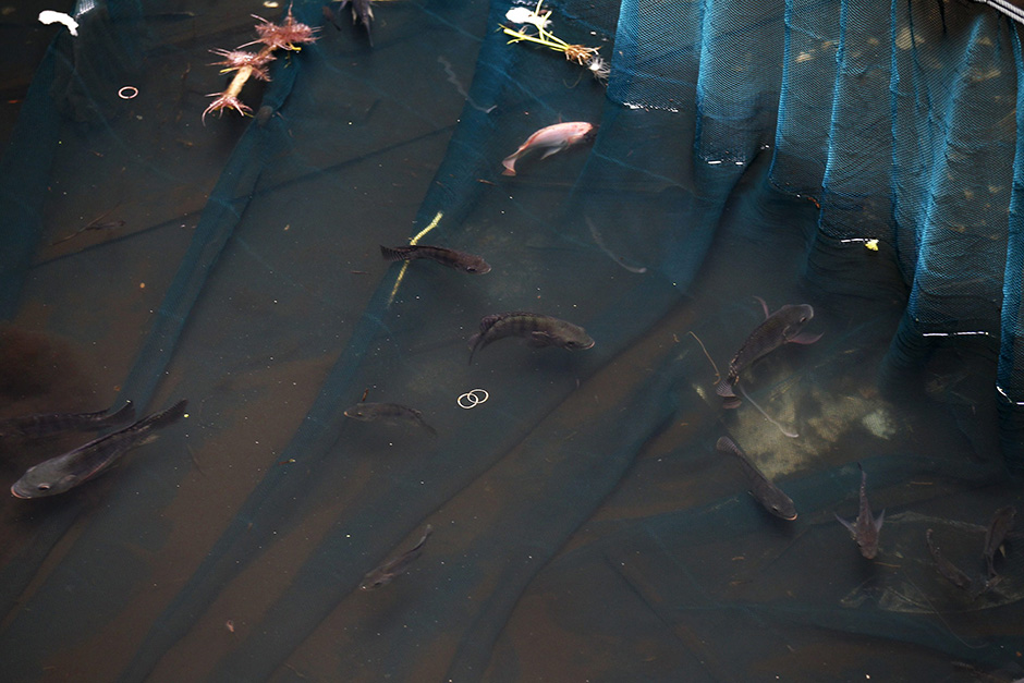 REUTERS/Chaiwat Subprasom