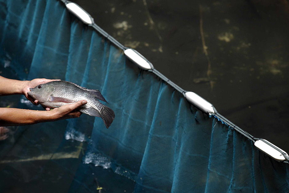 REUTERS/Chaiwat Subprasom