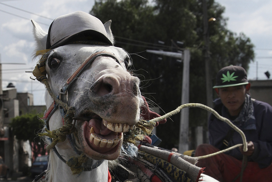 TANJUG/AP/Marco Ugarte