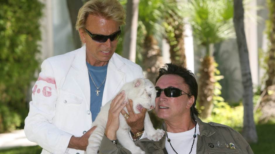 Roy Horn, Siegfried Fischbacher