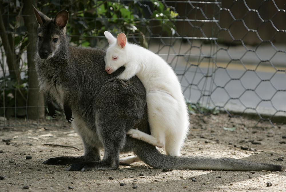 REUTERS/Alessandro Garofalo