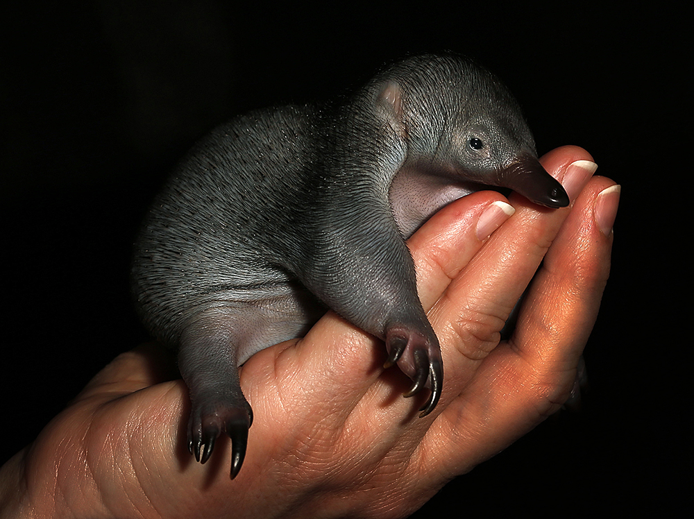 Reuters/Tim Wimborne