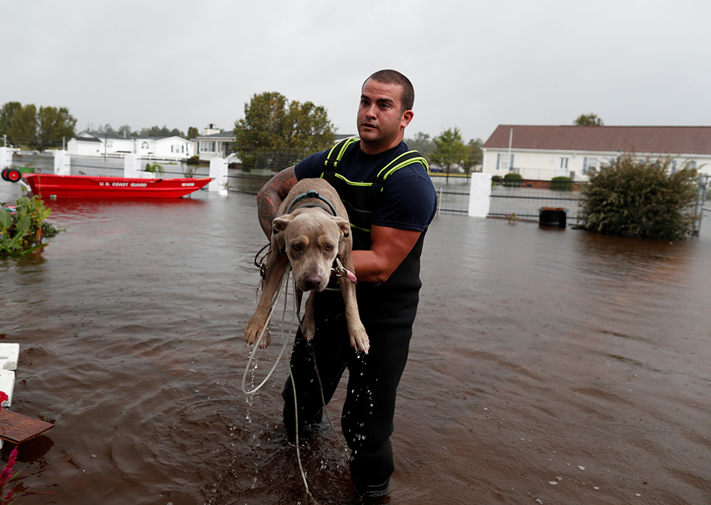 REUTERS/Randall Hill