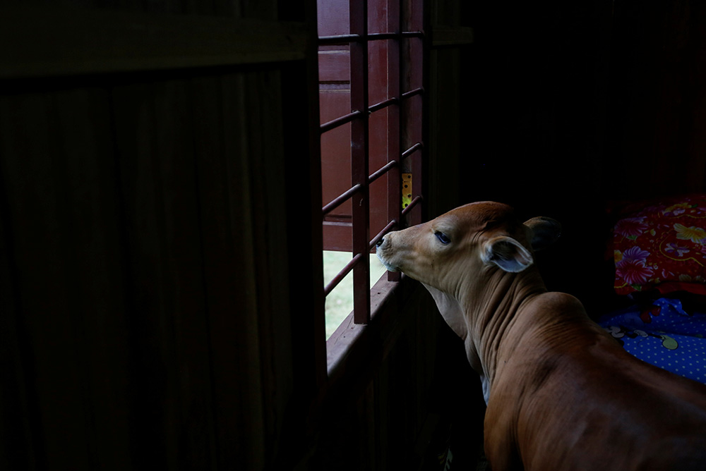 REUTERS/Pring Samrang