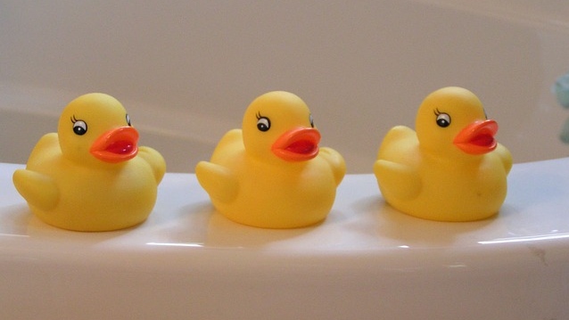 rubber-duckies-14614_640