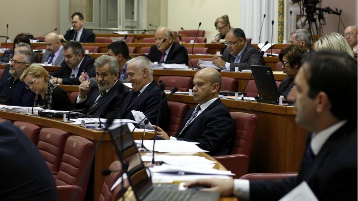 sabor_sjednica1-221014 Damjan Tadic