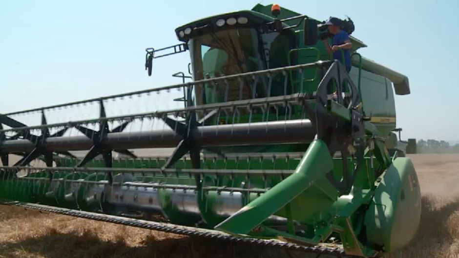 sdadsadsdsadsadsadsa