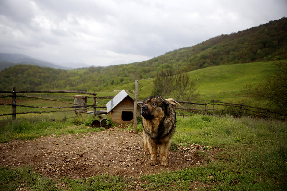 ANADOLIJA/Emre Baştuğ