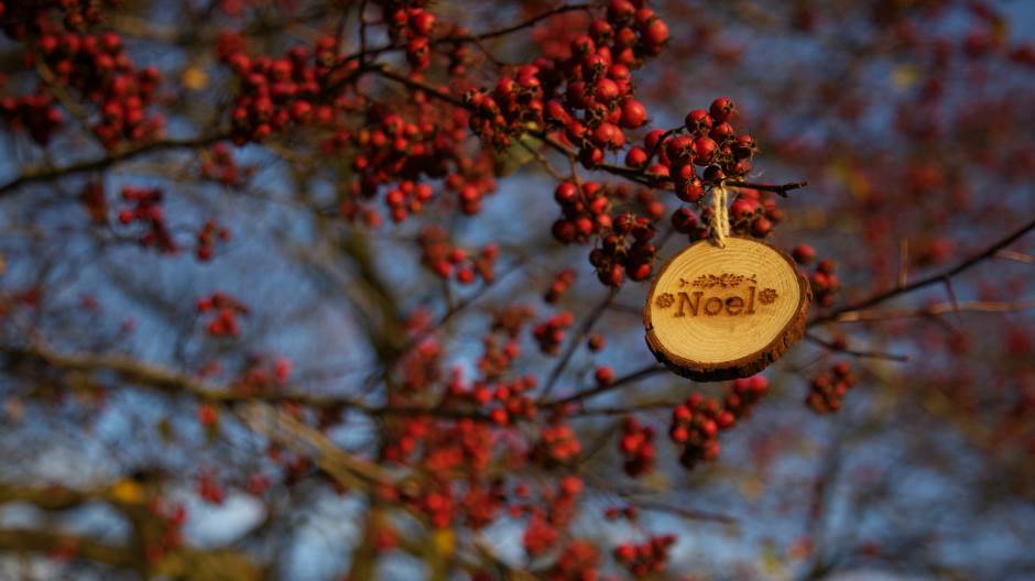 Unsplash (ilustracija)