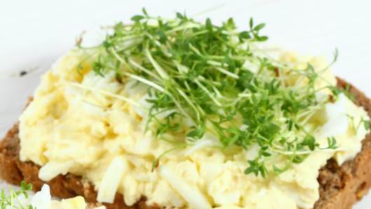 shutterstock_1639539715 (1)