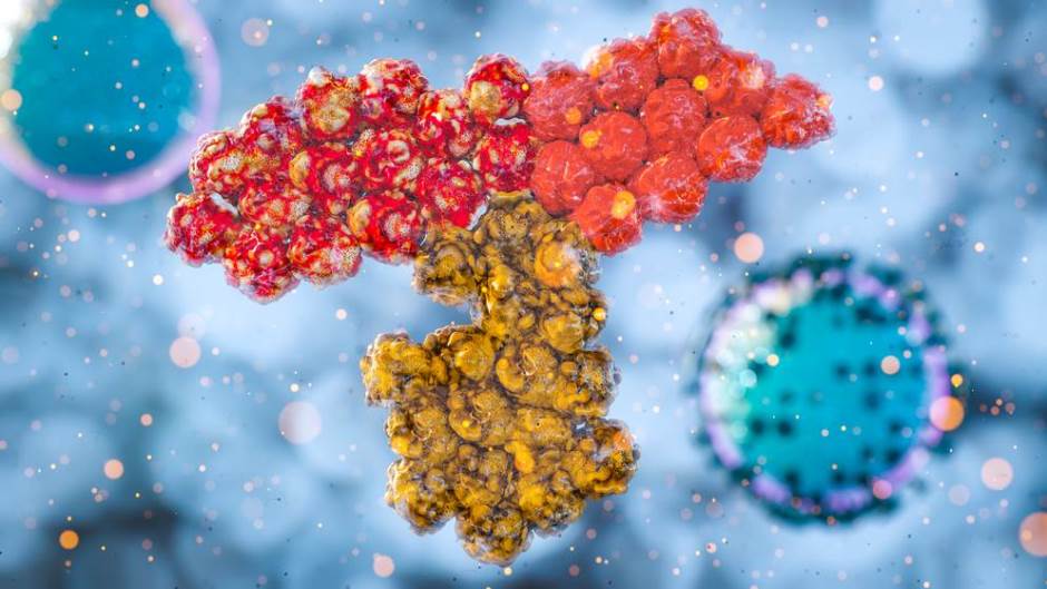 shutterstock_1711773487