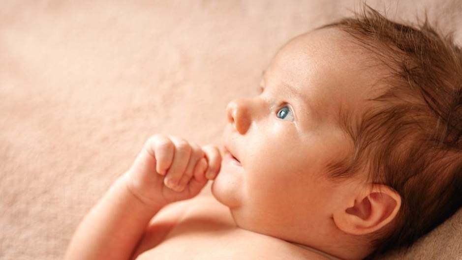 shutterstock_1826531279