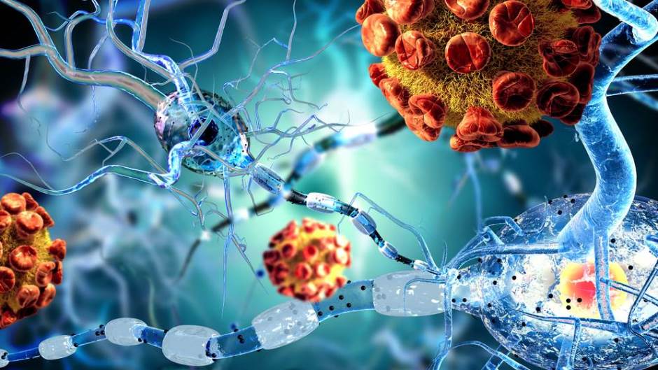 shutterstock_285350159