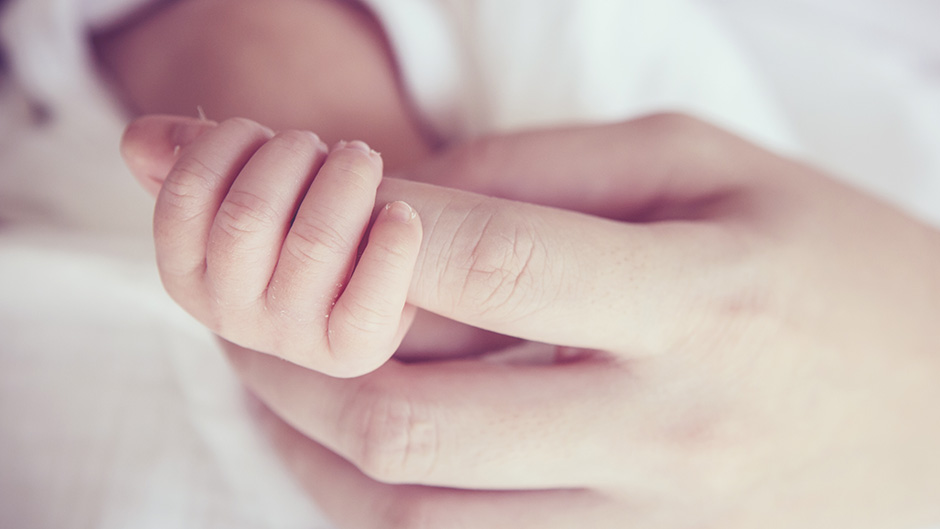 shutterstock_290349962