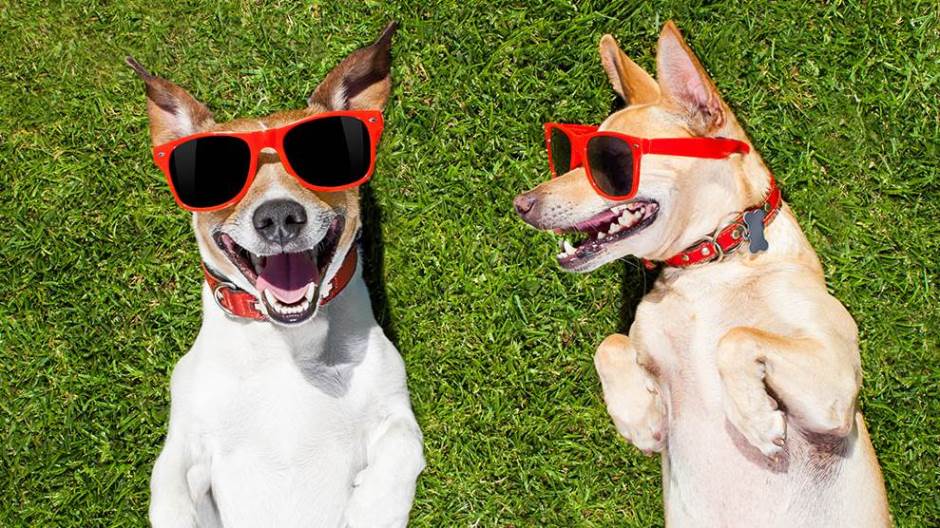 shutterstock_447025174