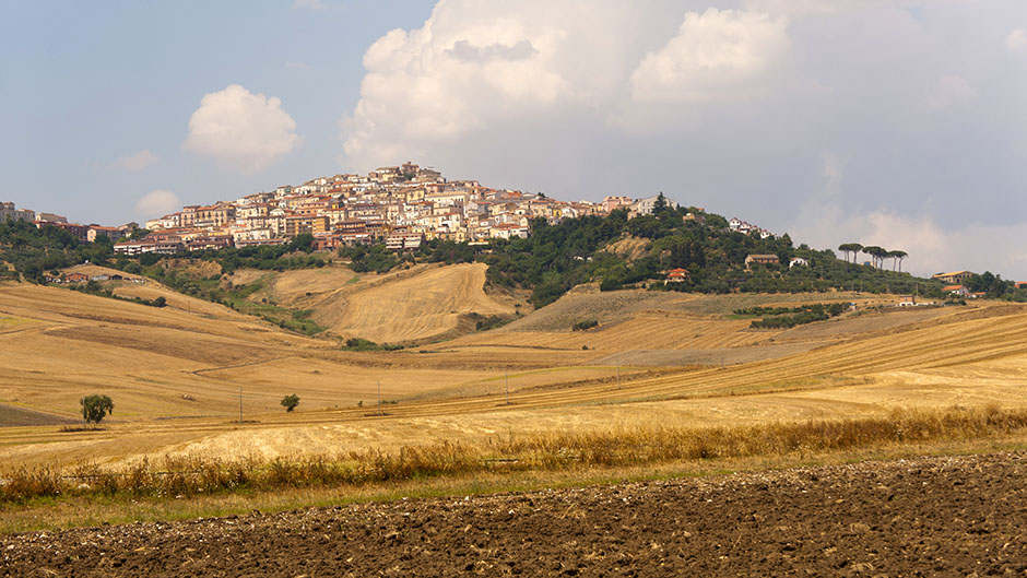 shutterstock_82839253