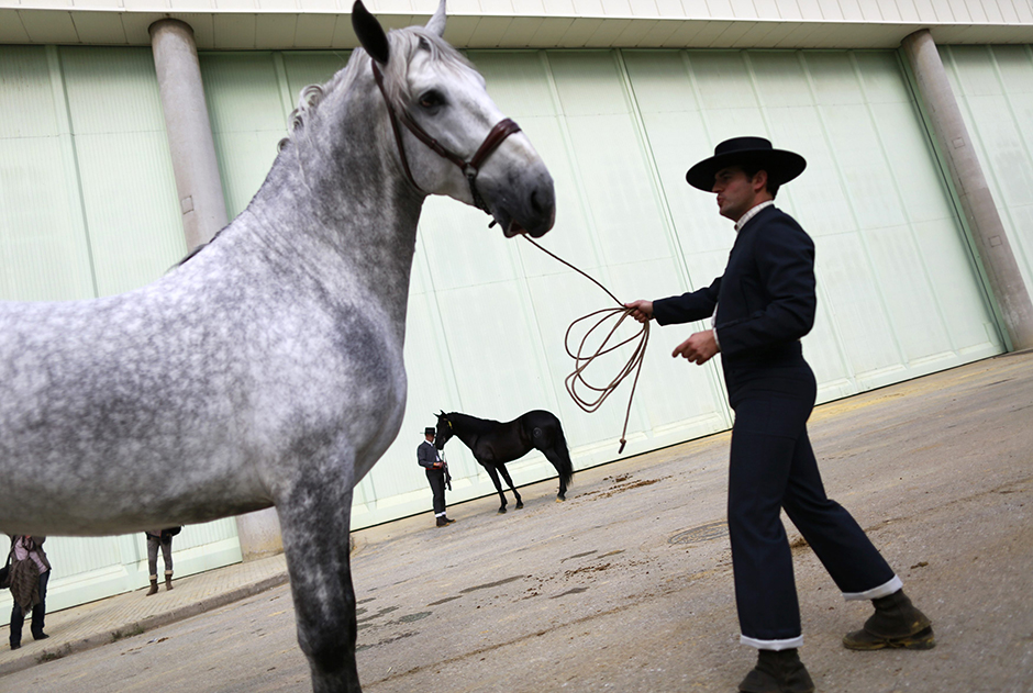 REUTERS/Marcelo del Pozo