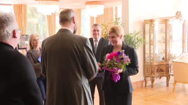 Slučaj Radeljić: Radi li se od muhe slon ili od slona muha?