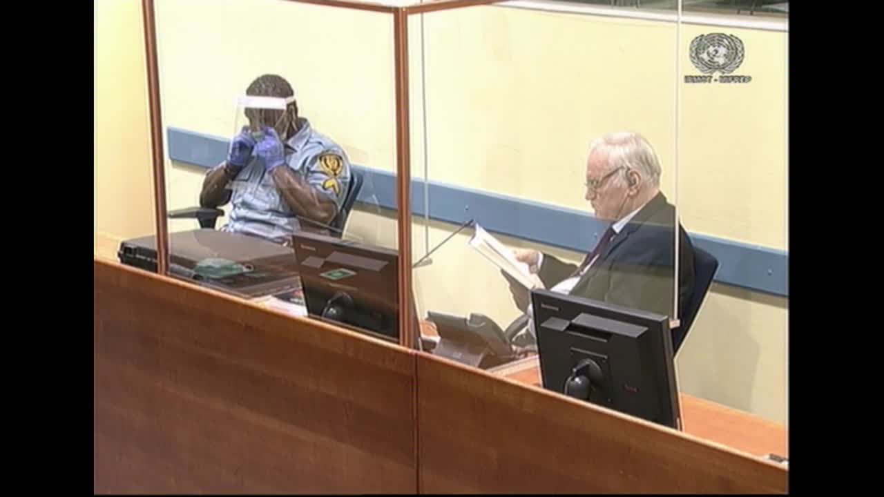 Slučaj Ratka Mladića