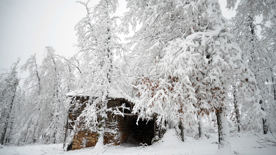 sneg tanjug dimitrije nikolić